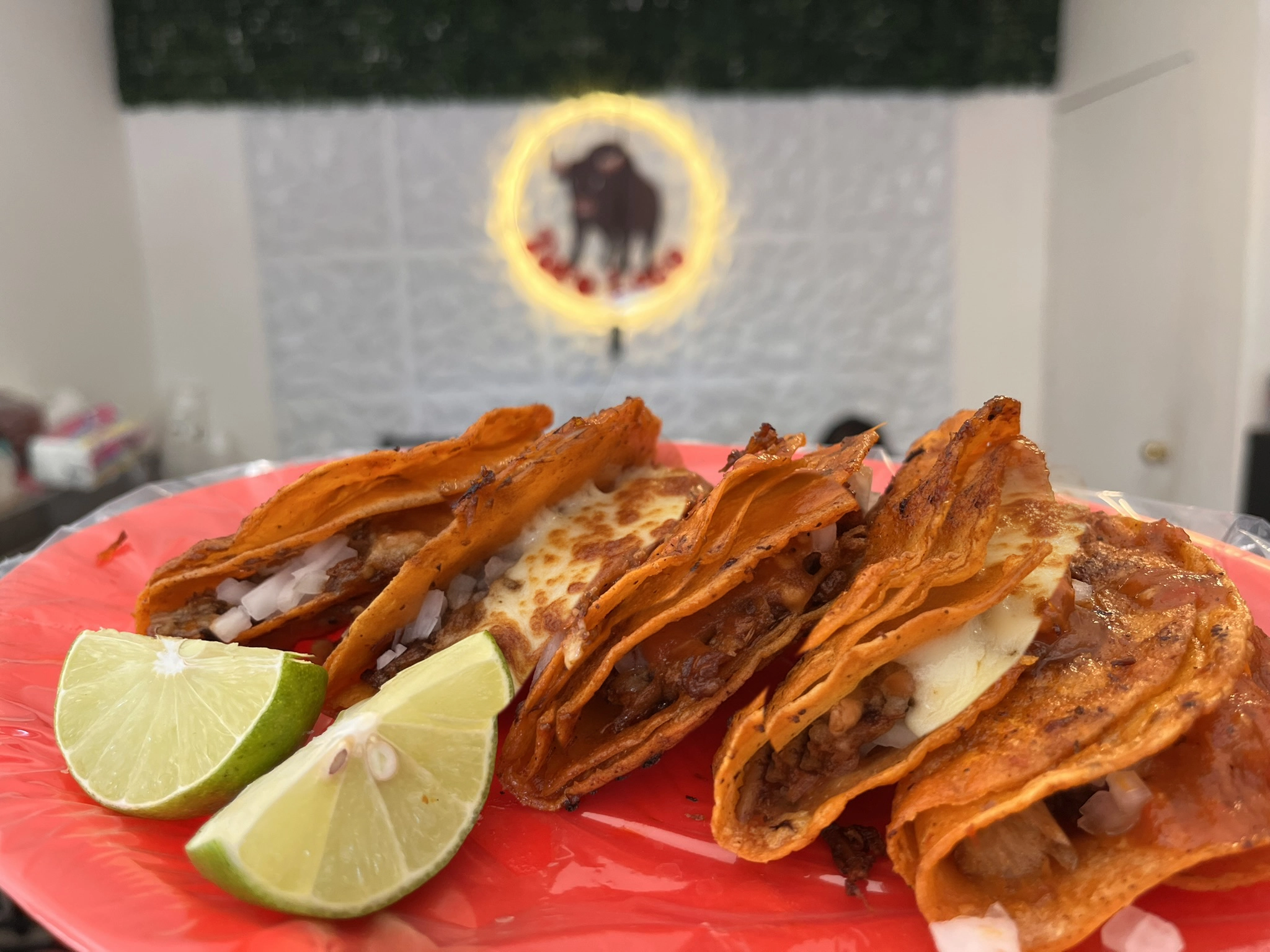 Deliciosa birria El Toro Loco